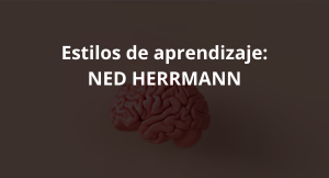 Lee más sobre el artículo Estilos de aprendizaje: NED HERRMANN
