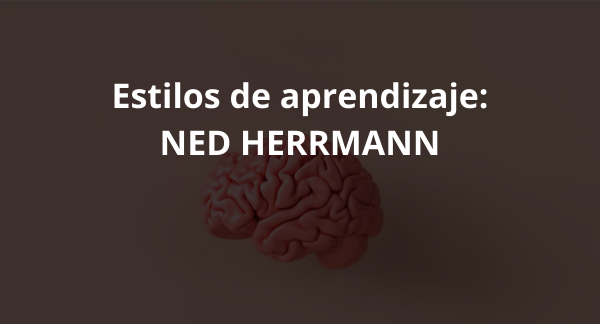 En este momento estás viendo Estilos de aprendizaje: NED HERRMANN